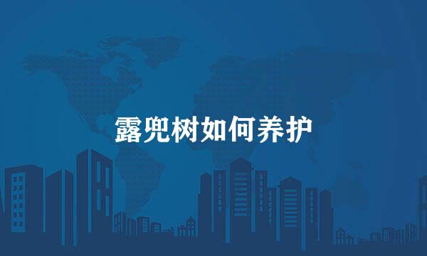 露兜树如何养护
