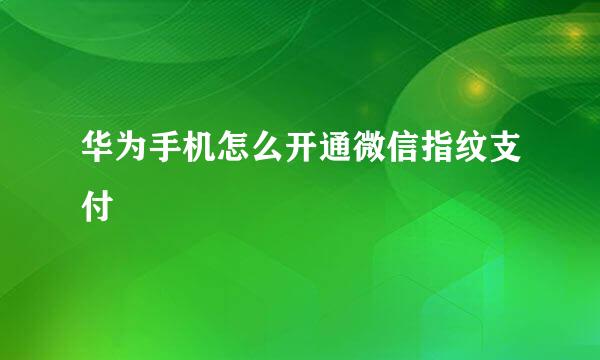 华为手机怎么开通微信指纹支付