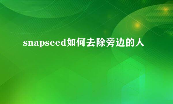 snapseed如何去除旁边的人