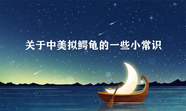 关于中美拟鳄龟的一些小常识