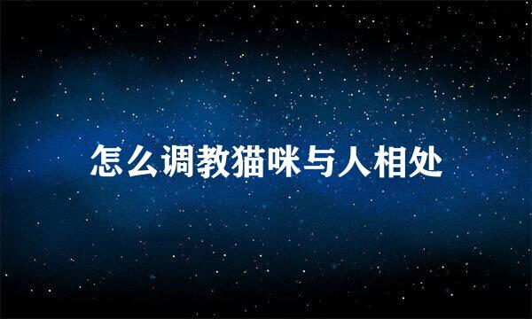 怎么调教猫咪与人相处