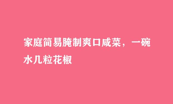 家庭简易腌制爽口咸菜，一碗水几粒花椒