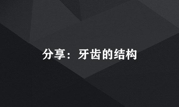 分享：牙齿的结构