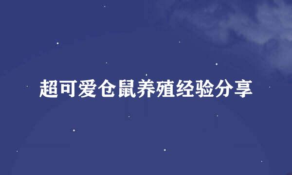 超可爱仓鼠养殖经验分享
