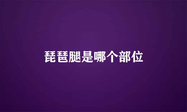 琵琶腿是哪个部位