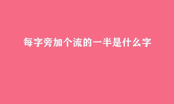每字旁加个流的一半是什么字
