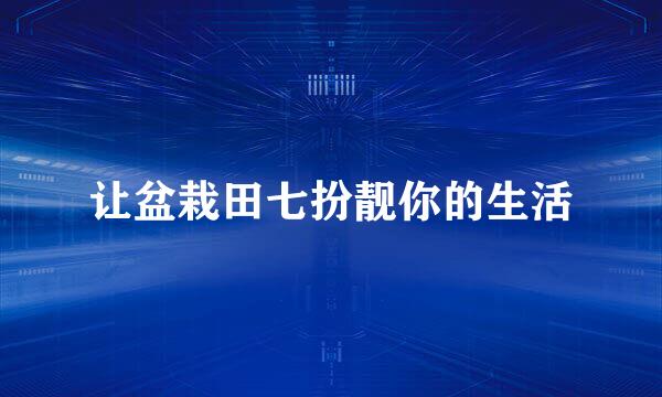 让盆栽田七扮靓你的生活