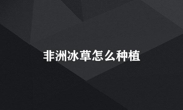 非洲冰草怎么种植
