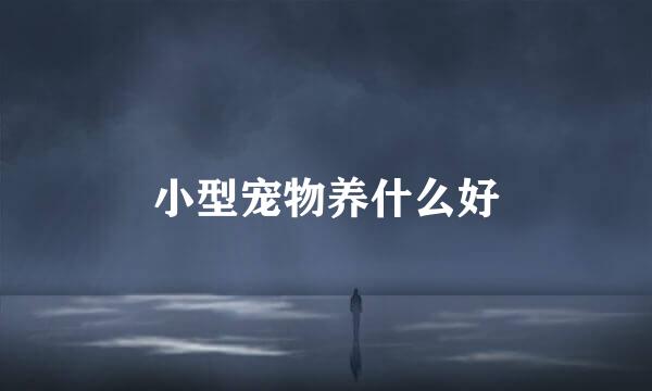 小型宠物养什么好