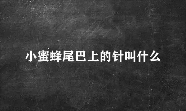 小蜜蜂尾巴上的针叫什么