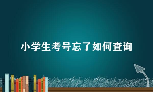 小学生考号忘了如何查询