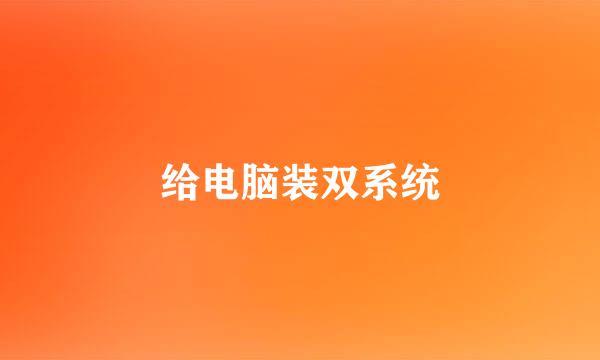 给电脑装双系统