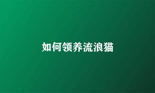 如何领养流浪猫