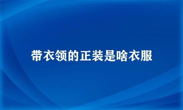 带衣领的正装是啥衣服