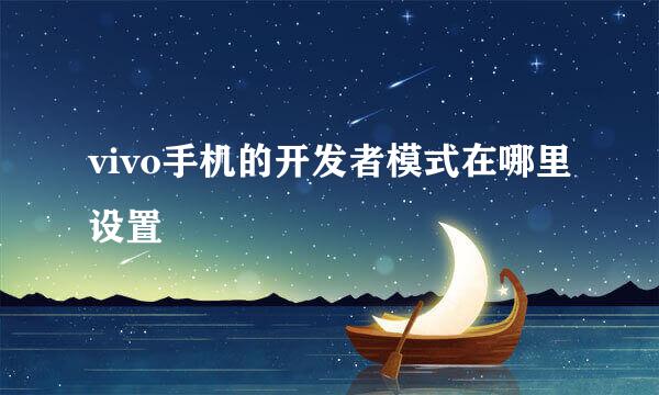 vivo手机的开发者模式在哪里设置