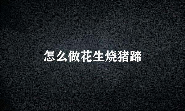 怎么做花生烧猪蹄
