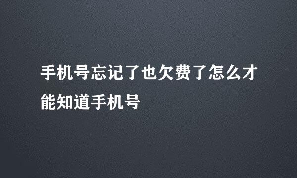 手机号忘记了也欠费了怎么才能知道手机号