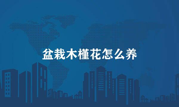 盆栽木槿花怎么养