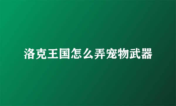 洛克王国怎么弄宠物武器