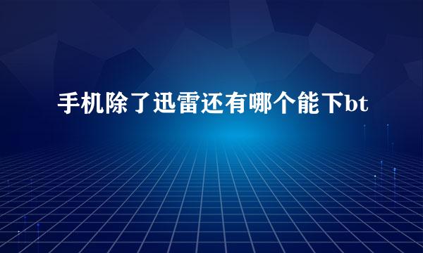 手机除了迅雷还有哪个能下bt