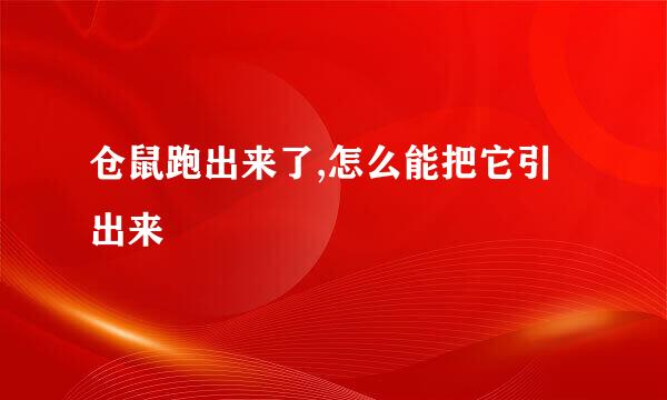 仓鼠跑出来了,怎么能把它引出来