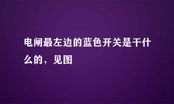 电闸最左边的蓝色开关是干什么的，见图