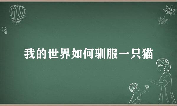 我的世界如何驯服一只猫