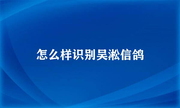 怎么样识别吴淞信鸽