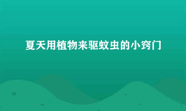 夏天用植物来驱蚊虫的小窍门
