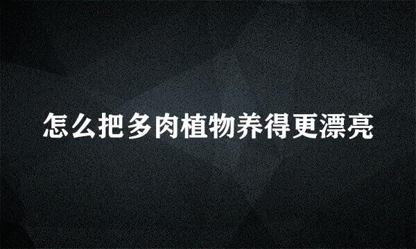 怎么把多肉植物养得更漂亮