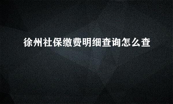 徐州社保缴费明细查询怎么查