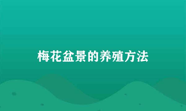 梅花盆景的养殖方法