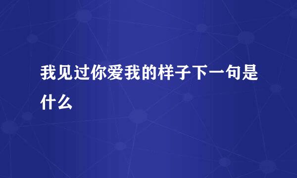 我见过你爱我的样子下一句是什么