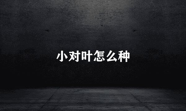 小对叶怎么种