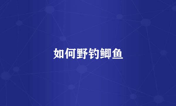 如何野钓鲫鱼