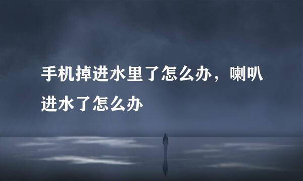手机掉进水里了怎么办，喇叭进水了怎么办