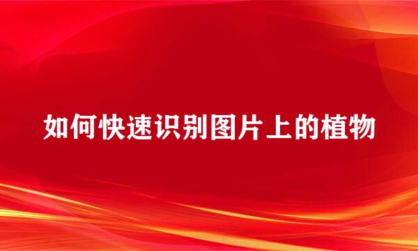 如何快速识别图片上的植物