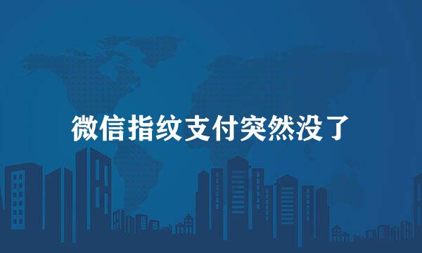 微信指纹支付突然没了