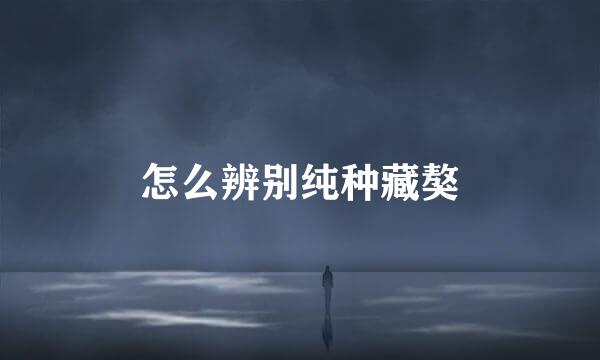 怎么辨别纯种藏獒