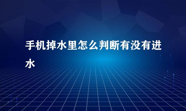 手机掉水里怎么判断有没有进水
