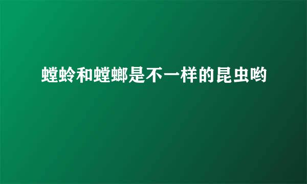 螳蛉和螳螂是不一样的昆虫哟