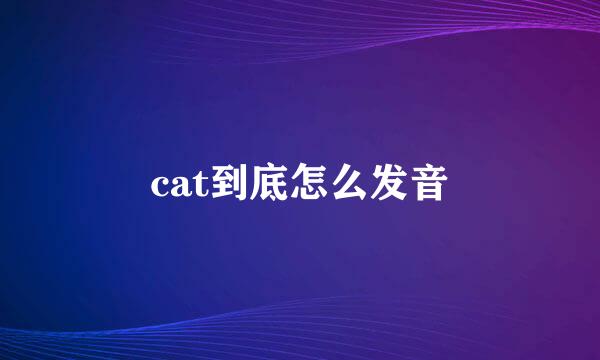 cat到底怎么发音