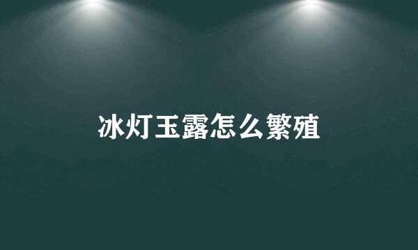 冰灯玉露怎么繁殖