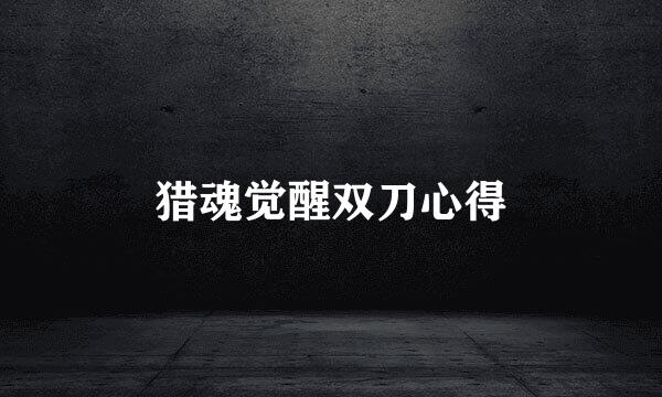 猎魂觉醒双刀心得
