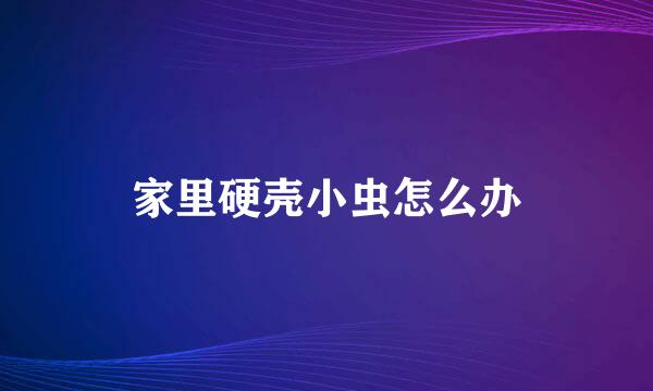 家里硬壳小虫怎么办