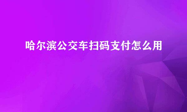 哈尔滨公交车扫码支付怎么用