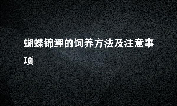 蝴蝶锦鲤的饲养方法及注意事项