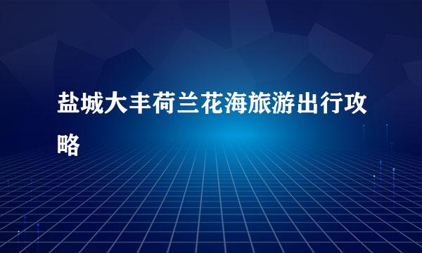 盐城大丰荷兰花海旅游出行攻略