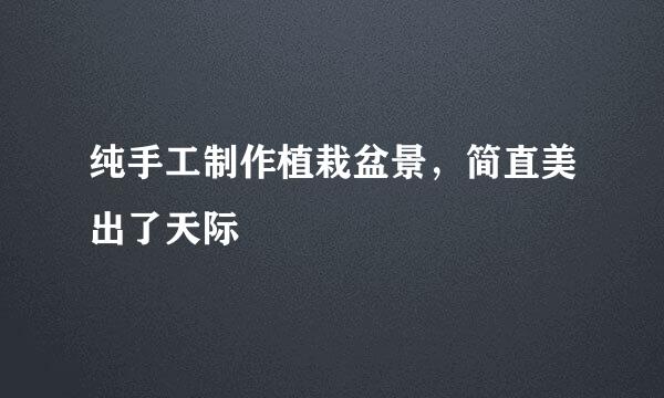 纯手工制作植栽盆景，简直美出了天际