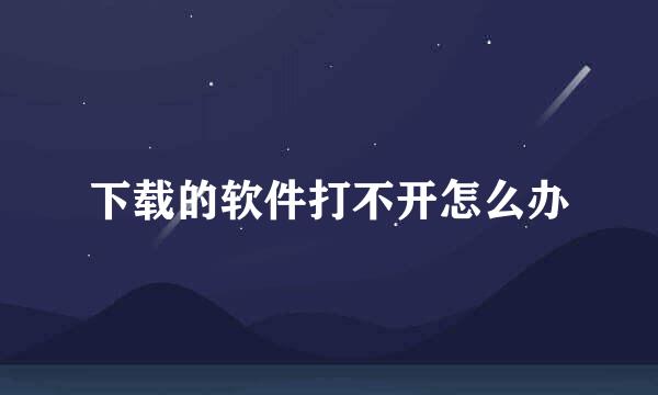 下载的软件打不开怎么办
